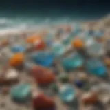 Glistening Treasures of the Sea