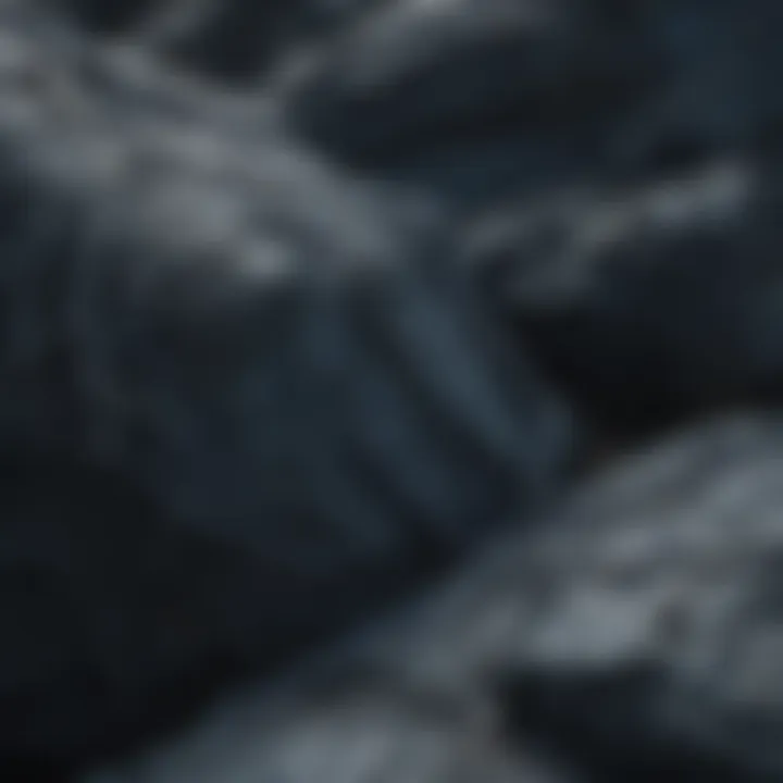 Intricate Veins of Mystery