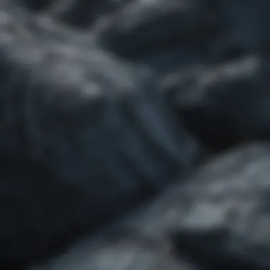 Intricate Veins of Mystery Intricate Veins of Mystery
