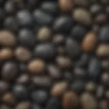 A collection of smooth black river rocks in various sizes and shapes.