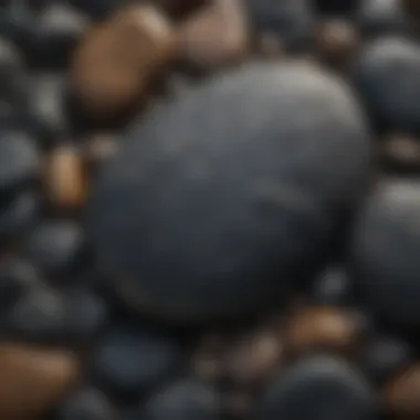 Intricate Textures of a Smooth Black River Rock Close-up view of a smooth black river rock showcasing natural patterns and textures.