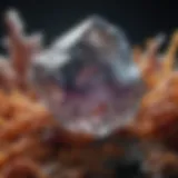 Close-up view of a rare Alaskan gem showcasing its unique crystalline structure