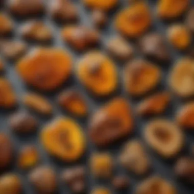 A display of various amber fossils for sale at a collector's fair