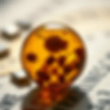 Notable Exploring Amber Inclusions: Nature's Time Capsules Notable Exploring Amber Inclusions: Nature's Time Capsules