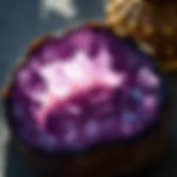 Exploring Amethyst Geodes: Nature's Hidden Treasures Introduction