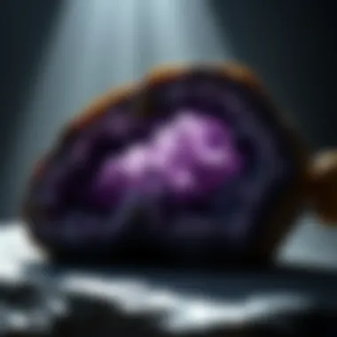 Exploring Amethyst Geodes: Nature's Hidden Treasures Summary