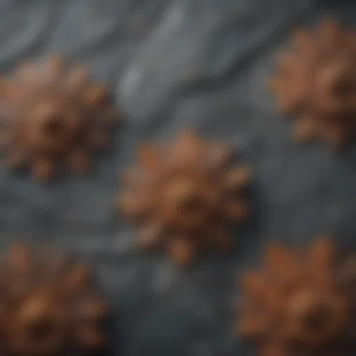 Close-up of intricate designs on a slate rock surface