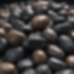 A collection of various black shiny rocks.