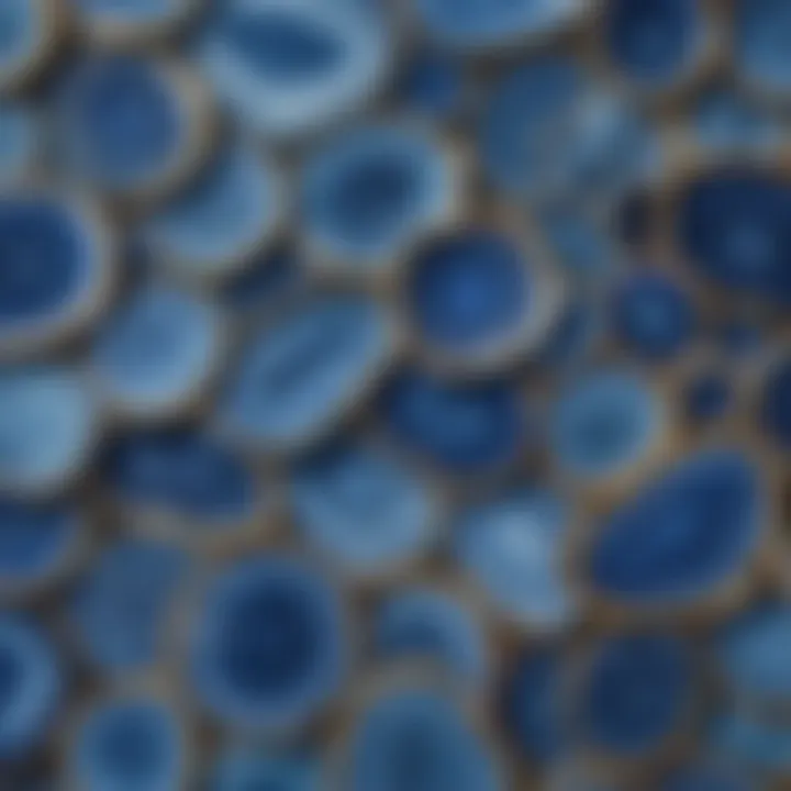 A collection display of various blue agate slices arranged aesthetically