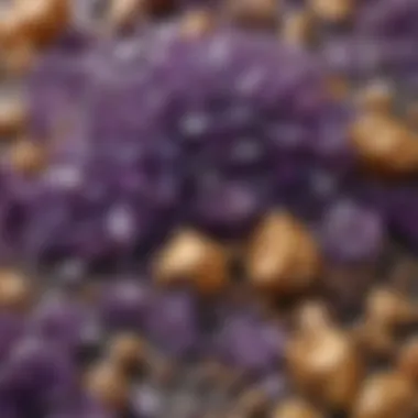 An array of amethyst clusters displayed in a collection, appealing to enthusiasts and collectors.