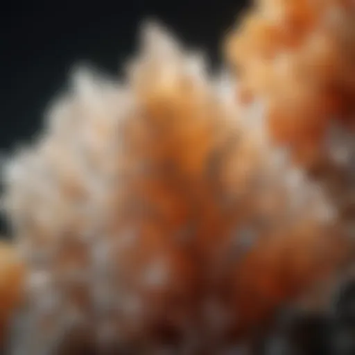 Macro close-up of intricate calcite crystals