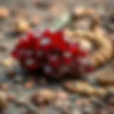 Exploring Cinnabar Crystals: A Comprehensive Guide for Collectors Introduction