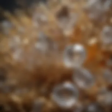 Artistic arrangement of various clear crystals with gold lines displayed aesthetically