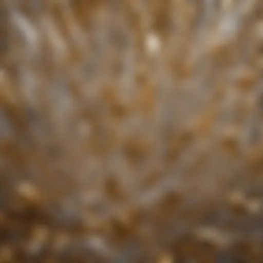 Stunning close-up of clear crystal showcasing intricate gold lines