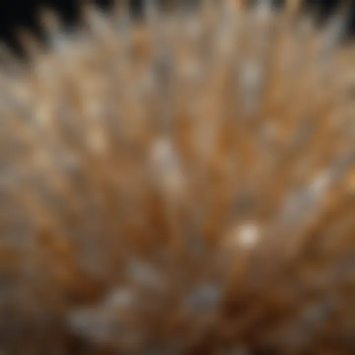 Detailed photograph highlighting the formation of clear crystals with gold lines