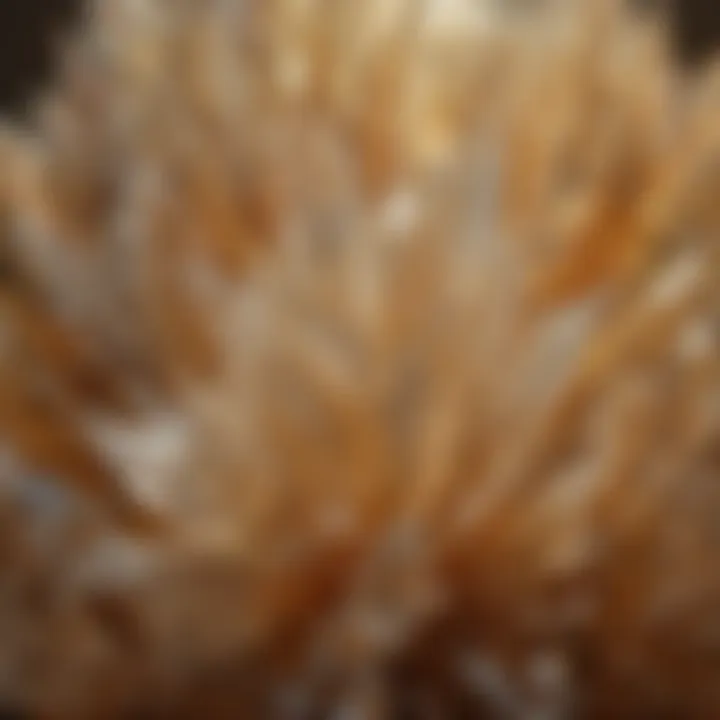 Translucent clear crystal featuring striking golden veins against a natural backdrop