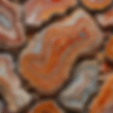 Display of various Crazy Lace agate specimens in vibrant colors