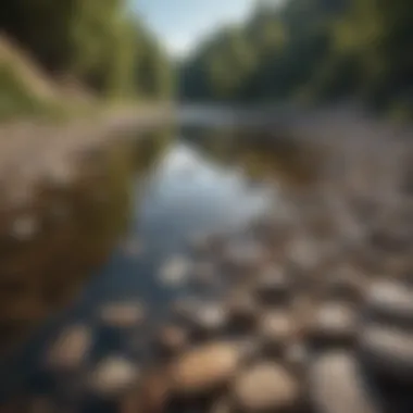 Natural Habitat of Flat River Rocks A scenic riverbank where flat river rocks can be found