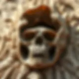 Exploring Fossil Discoveries: A Comprehensive Guide Introduction