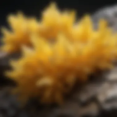 Glowing yellow sulfur crystals in natural setting