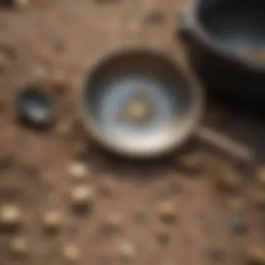 Essential gold panning tools laid out on the ground