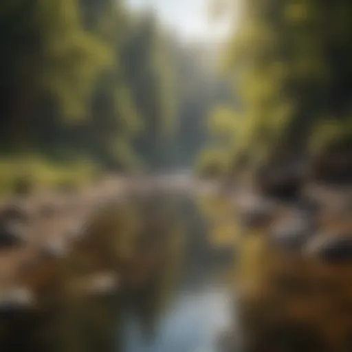 A serene riverbank perfect for gold panning