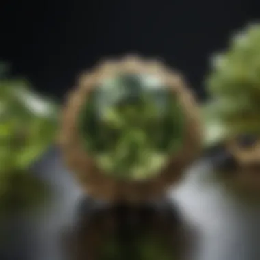 Peridot's Vibrant Charm Peridot's Vibrant Charm