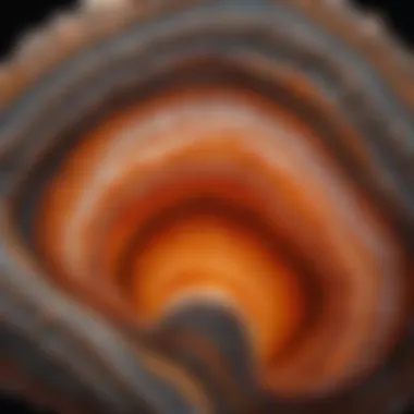 Exploring the intricate patterns of a rare agate specimen