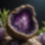 Exquisite Amethyst Geode