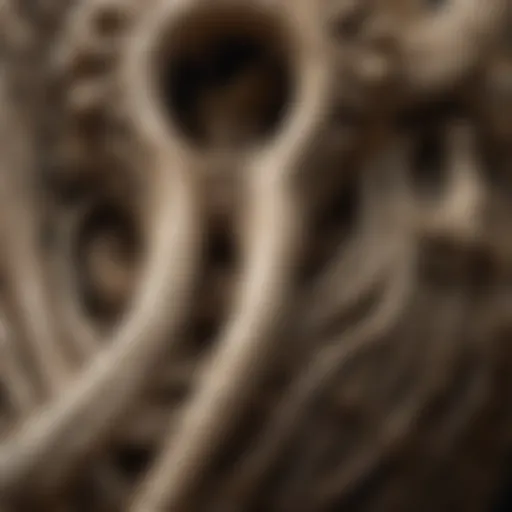 Close-up of a mammoth bone showcasing intricate textures