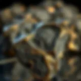 Exploring Meteorite Pieces for Sale: An In-Depth Guide for Collectors Introduction