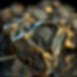 Exploring Meteorite Pieces for Sale: An In-Depth Guide for Collectors Introduction
