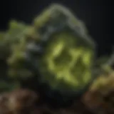 A stunning piece of moldavite showcasing its unique green texture and shape