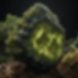 A stunning piece of moldavite showcasing its unique green texture and shape