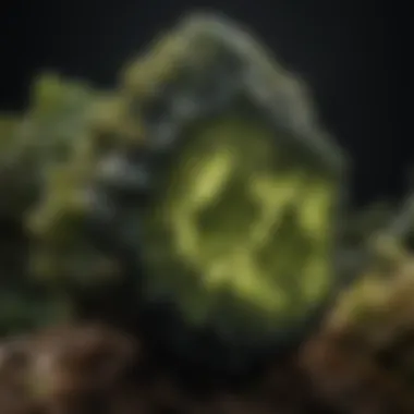 A stunning piece of moldavite showcasing its unique green texture and shape