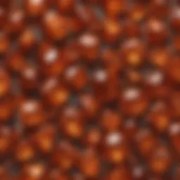 A vibrant orange garnet with intricate facets.