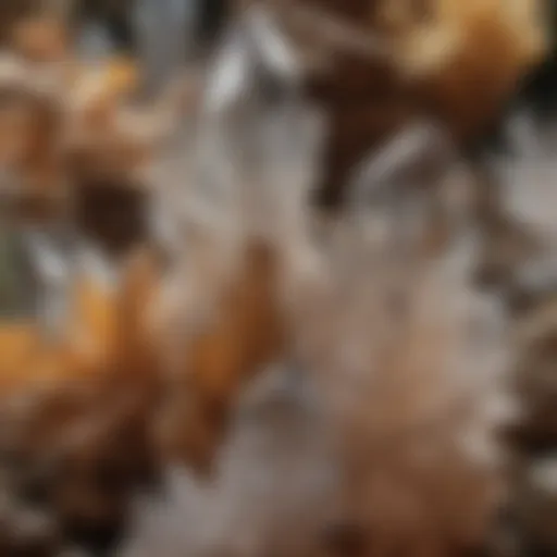 Close-up of distinctive Pennsylvania quartz crystals showcasing their clarity and unique formations.