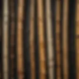 Close-up view of petrified bamboo texture highlighting its unique patterns