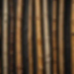 Close-up view of petrified bamboo texture highlighting its unique patterns