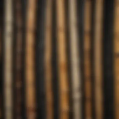 Close-up view of petrified bamboo texture highlighting its unique patterns