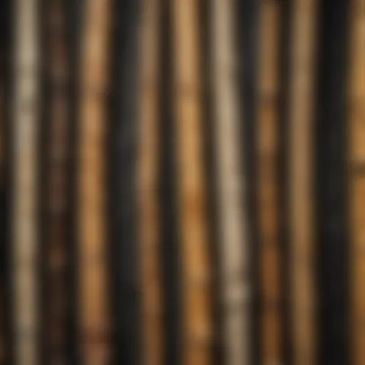 Close-up view of petrified bamboo texture highlighting its unique patterns