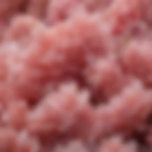 Close-up view of pink calcite crystals highlighting their intricate formation.