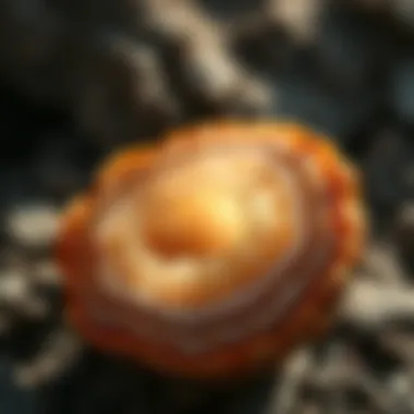 Exploring Plume Agate: An In-Depth Analysis Introduction Exploring Plume Agate: An In-Depth Analysis Introduction