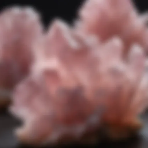 Exquisite rose quartz crystal formations in natural light