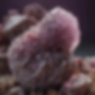 A geological sample of lepidolite displaying its unique texture and subtle lavender shades