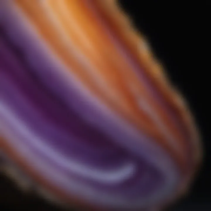 A beautiful slice of purple banded agate revealing intricate patterns and layers