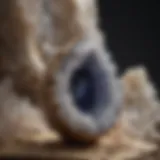 Close-up of a beautifully formed quartz geode showcasing its crystal interior