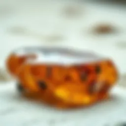 Exploring Real Amber Fossils: A Comprehensive Guide for Collectors Introduction