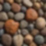 A close-up view of various rock types showcasing their textures and colors