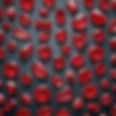 Diverse Collection of Ruby Cristal Specimens Display of various ruby cristal specimens in a collection